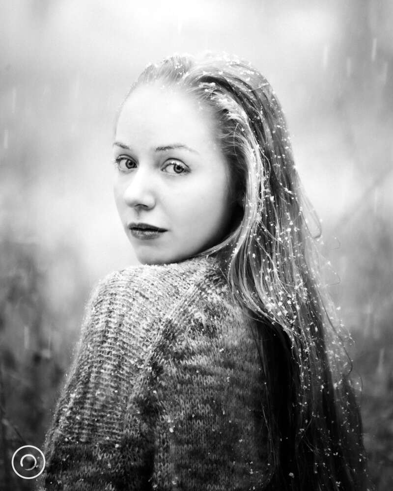 Fotografie Arne Wenzel (Fotografie Arne Wenzel)