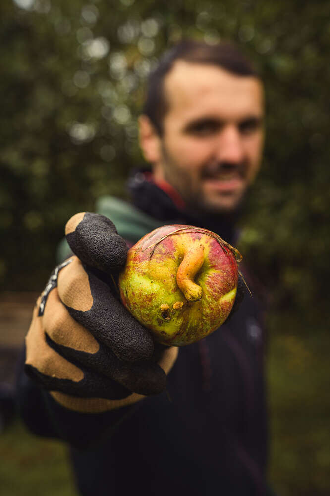 Fotografie Arne Wenzel (Fotografie Arne Wenzel)