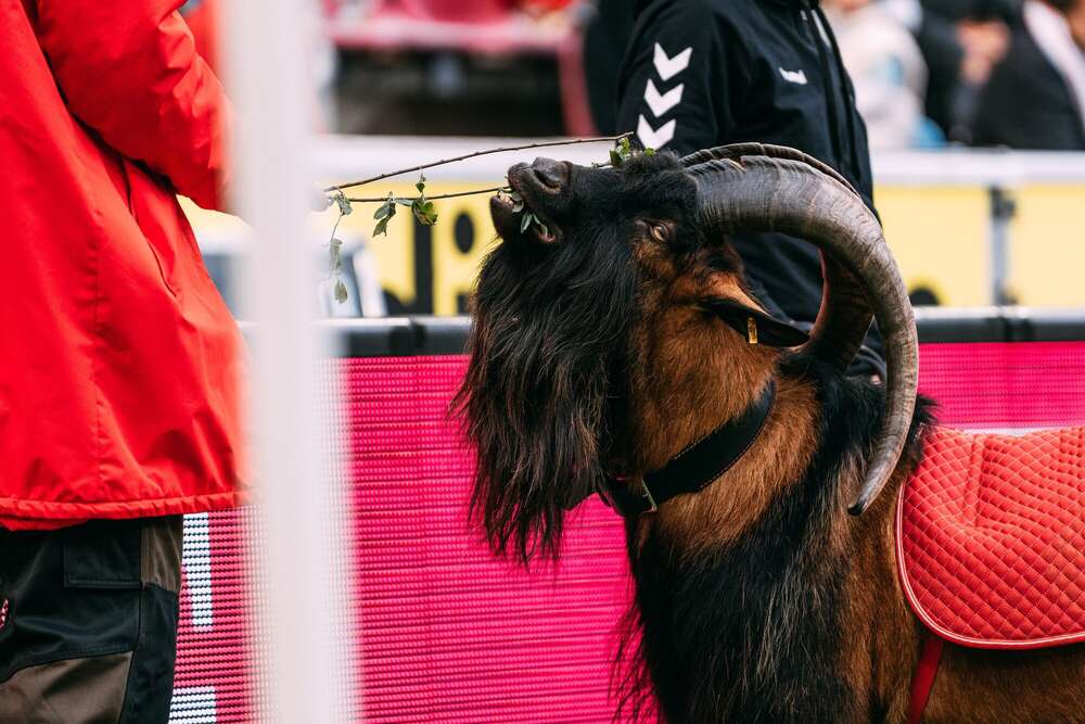 Jordi Mergen | Fotografie & Videografie (Jordi Mergen | Fotografie & Videografie)