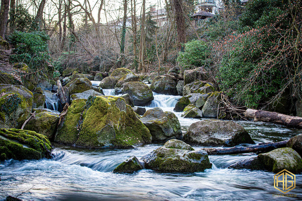 Andreas Günther (Andreas Günther)