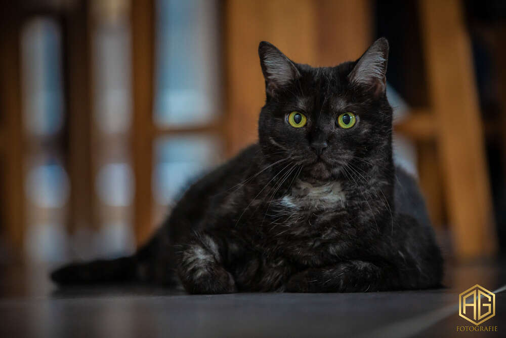 Andreas Günther (Andreas Günther)