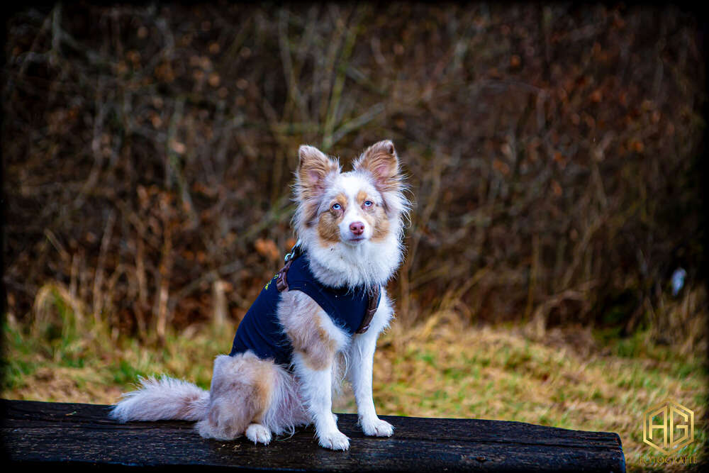 Andreas Günther (Andreas Günther)