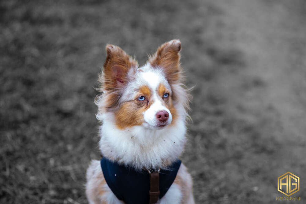 Andreas Günther (Andreas Günther)