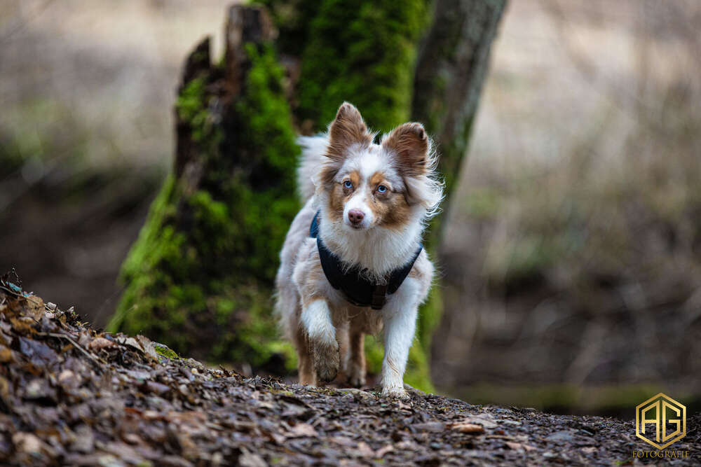 Andreas Günther (Andreas Günther)