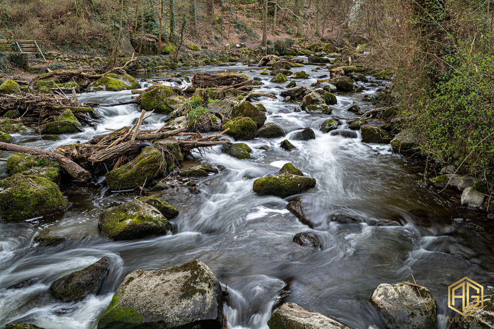 Andreas Günther (Andreas Günther)