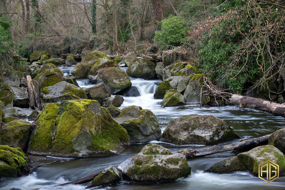 Andreas Günther (Andreas Günther)