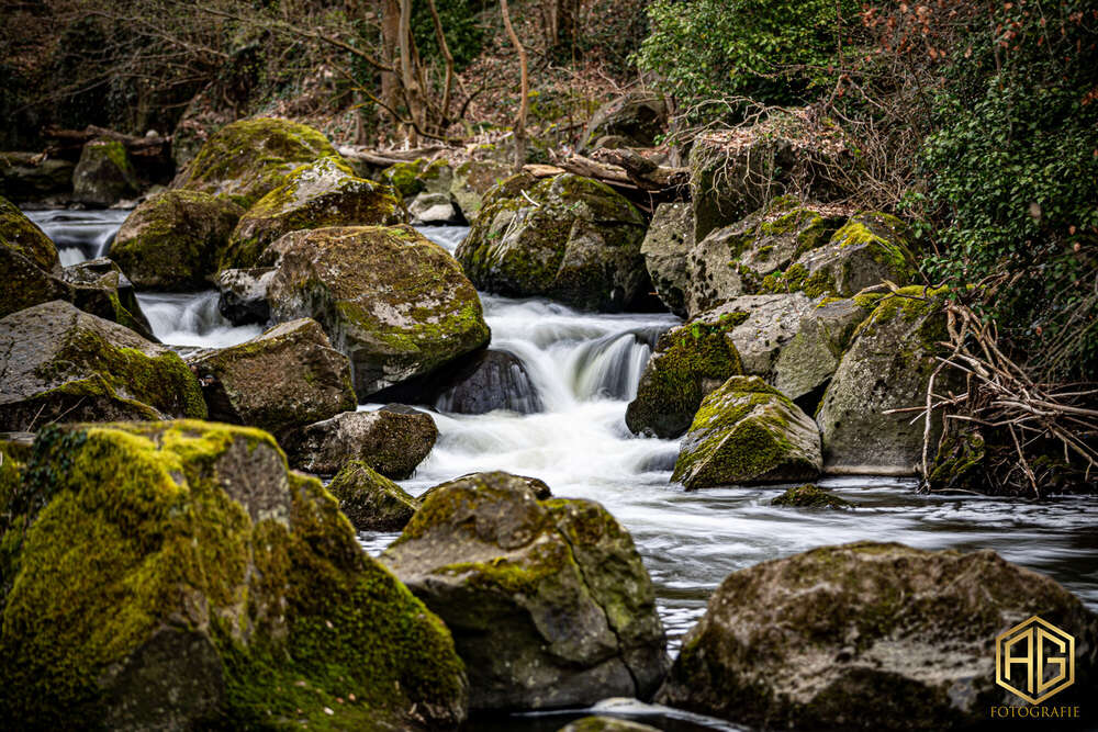 Andreas Günther (Andreas Günther)