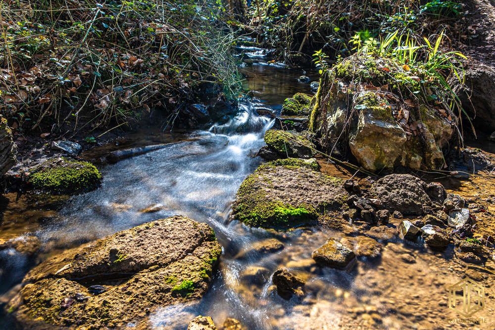 Andreas Günther (Andreas Günther)