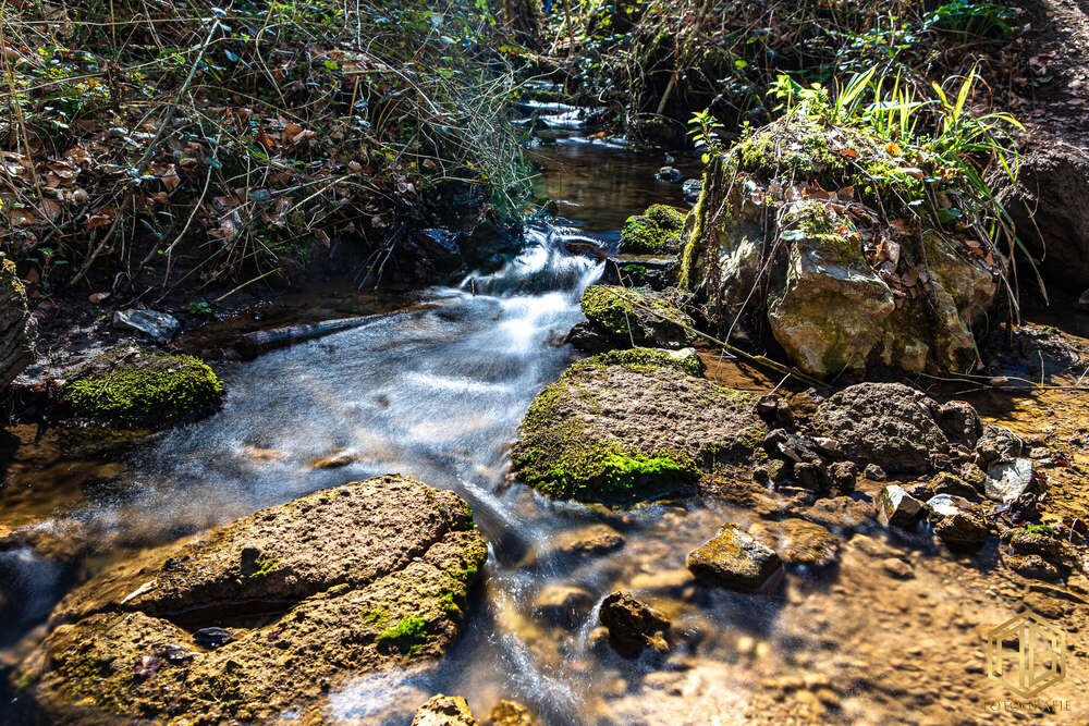 Andreas Günther (Andreas Günther)