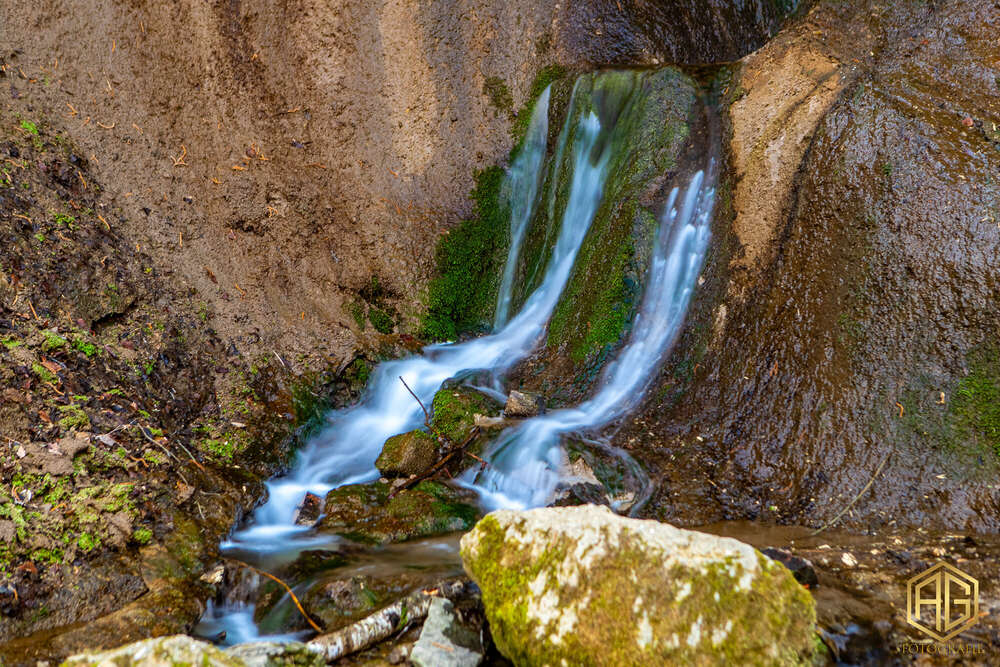 Andreas Günther (Andreas Günther)