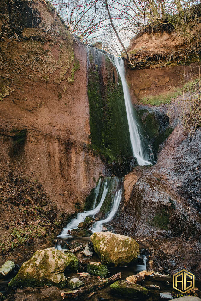 Andreas Günther (Andreas Günther)