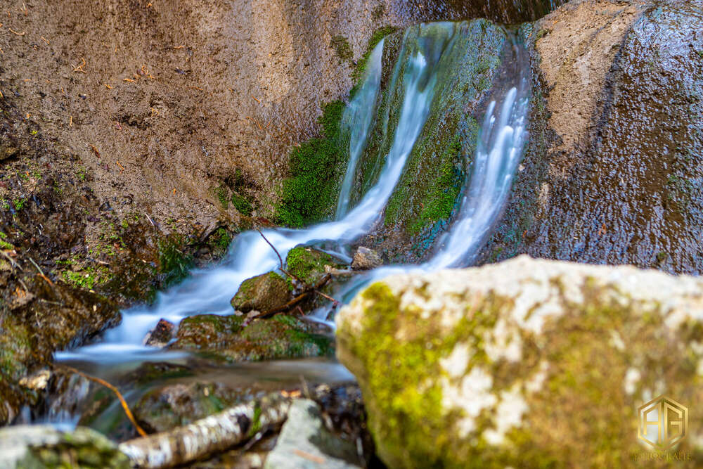 Andreas Günther (Andreas Günther)