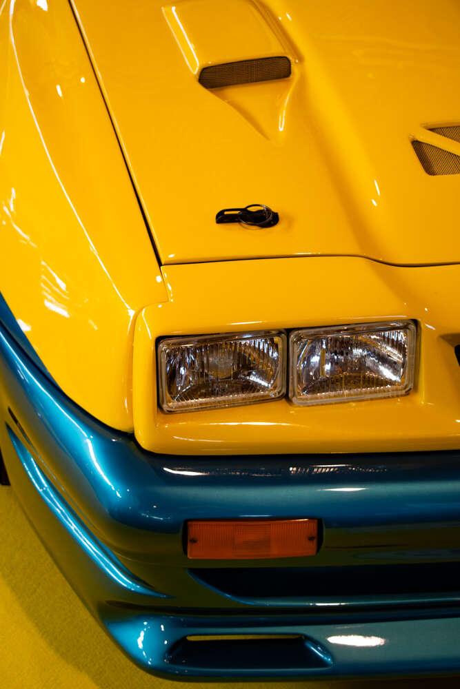 Manta (AP Fotografie)