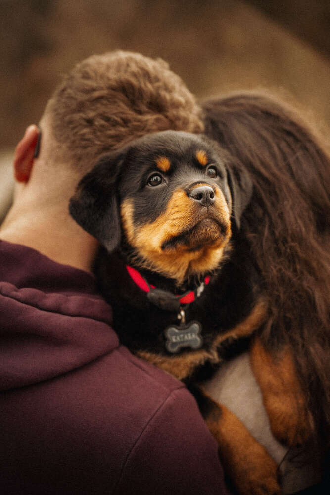 Robbin Grimm (Robbin Grimm)