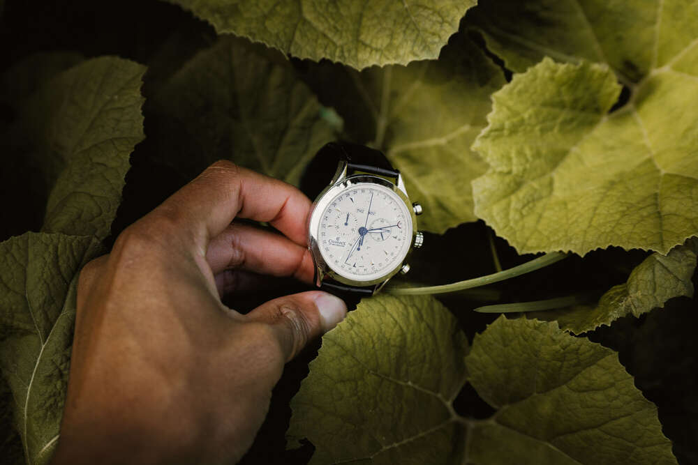 Robbin Grimm (Robbin Grimm)