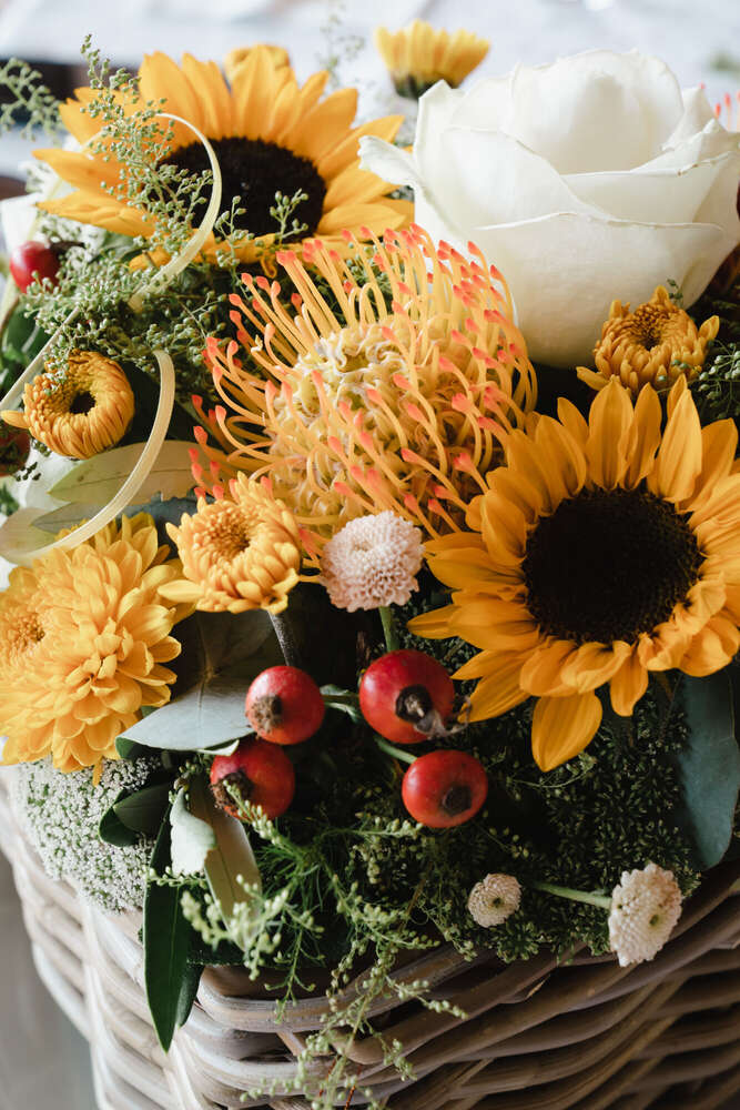 Lirim Latifi Foto | Video (Lirim Latifi Foto | Video)