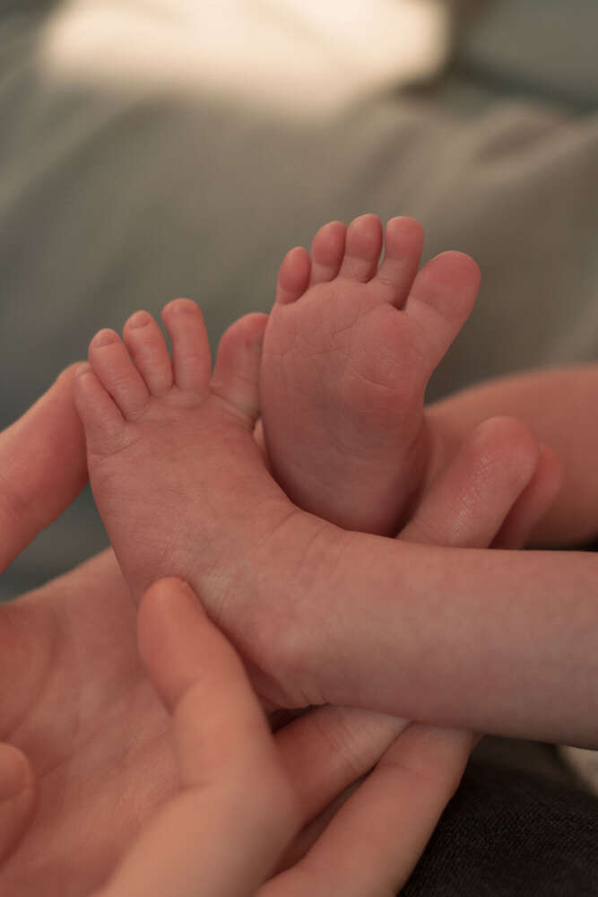 Katharina La Verde (Katharina La Verde)