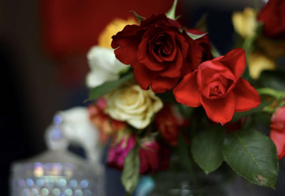 Eliana Soares Pires (Eliana Soares Pires)