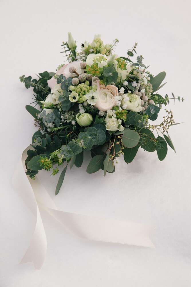 Thomas Raggam / The Schubidu Quartet (Thomas Raggam / The Schubidu Quartet)