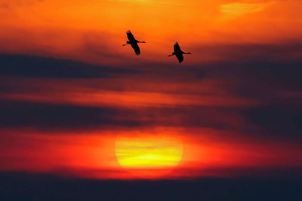 Lars Kaletta (Lars Kaletta)