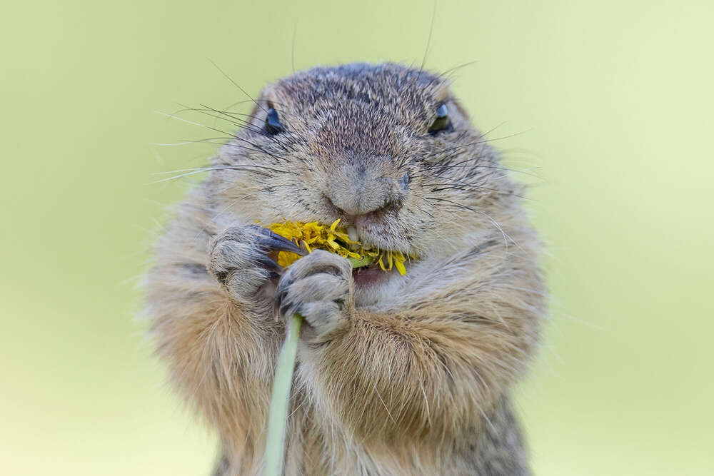 Lars Kaletta (Lars Kaletta)