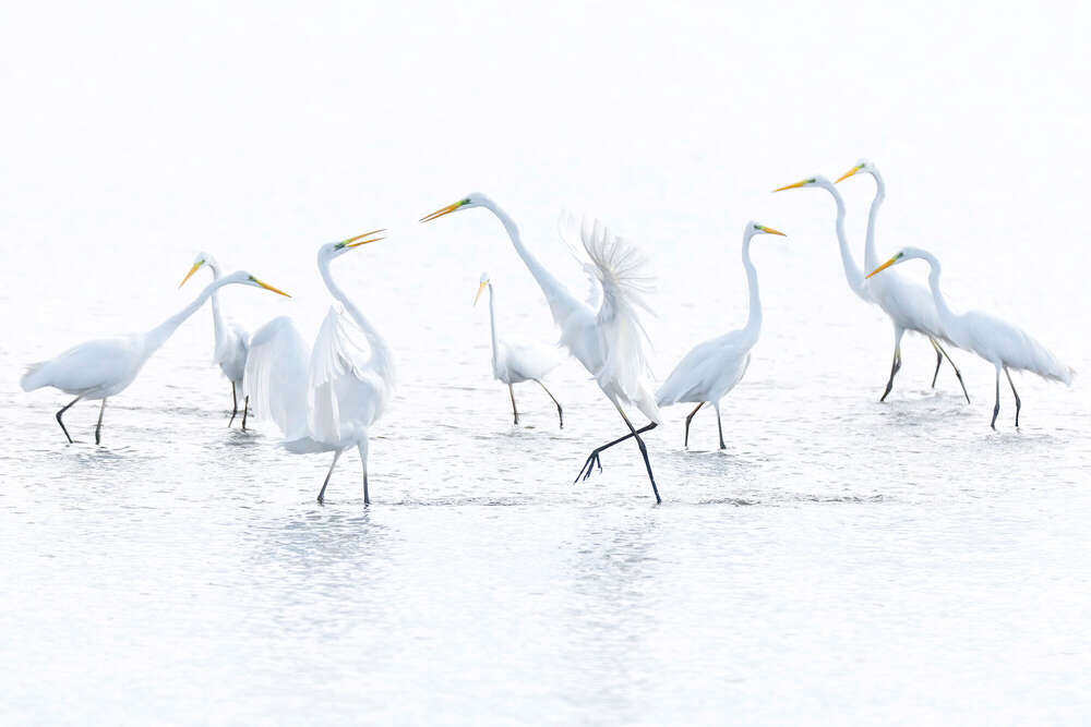 Lars Kaletta (Lars Kaletta)