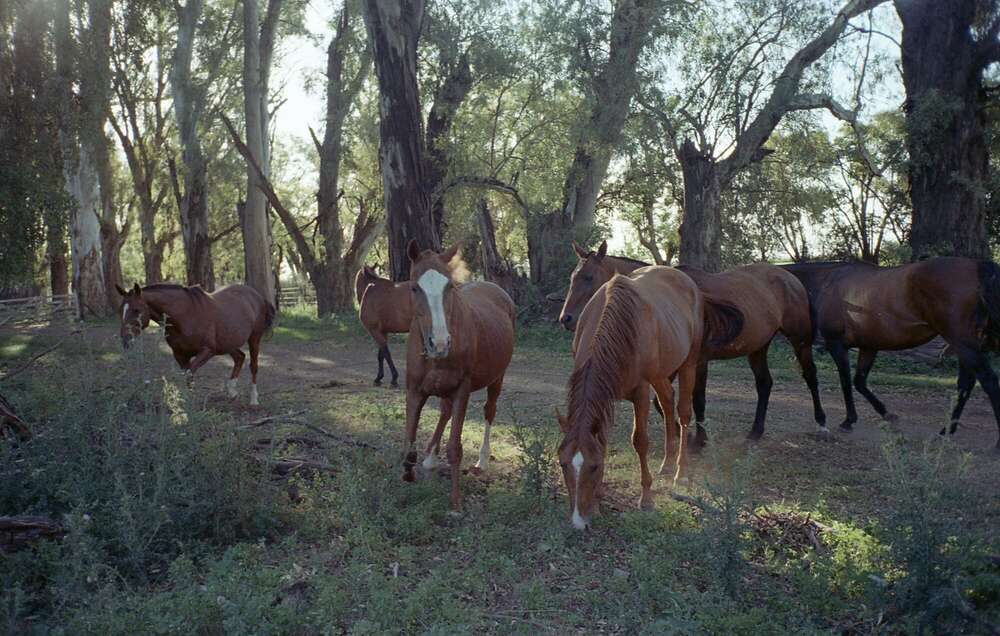 Natalia Sofia Popov (Natalia Sofia Popov)