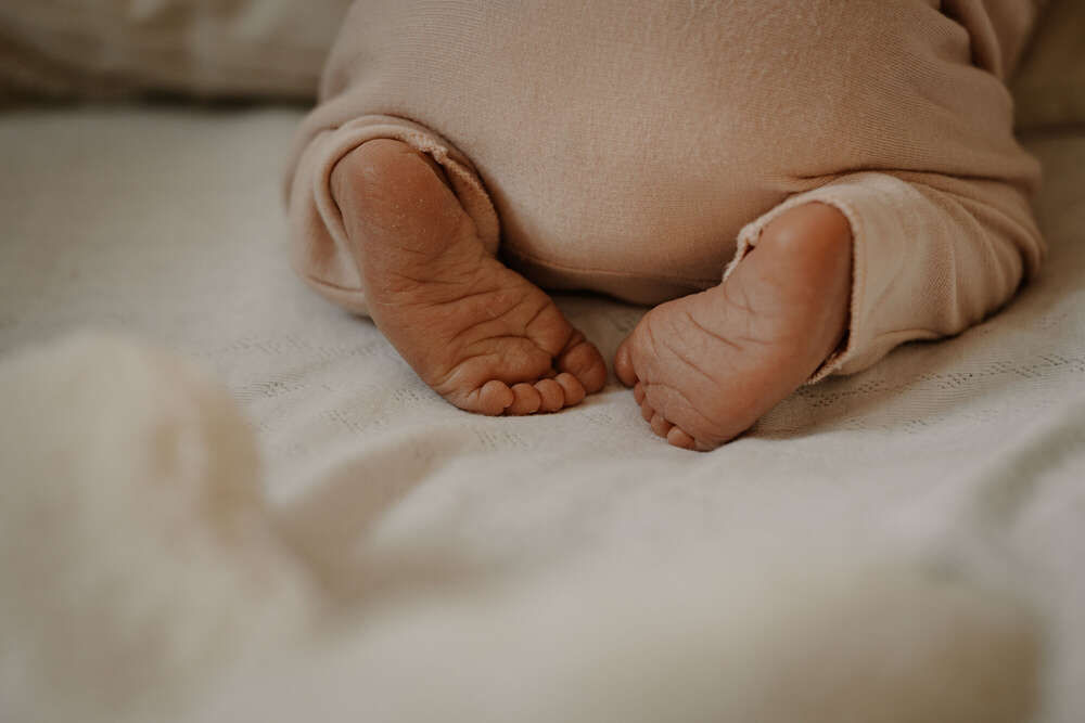 Licht & Zeit Fotografie (Licht & Zeit Fotografie)