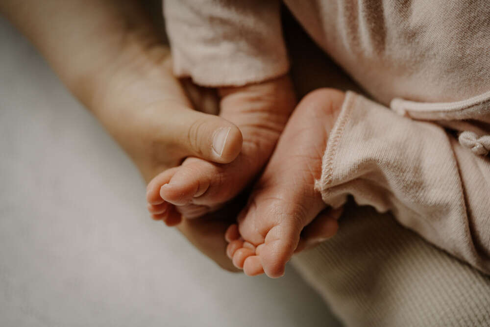 Licht & Zeit Fotografie (Licht & Zeit Fotografie)