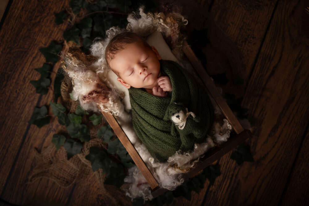 Sonja Strametz Fotografie (Sonja Strametz Fotografie)