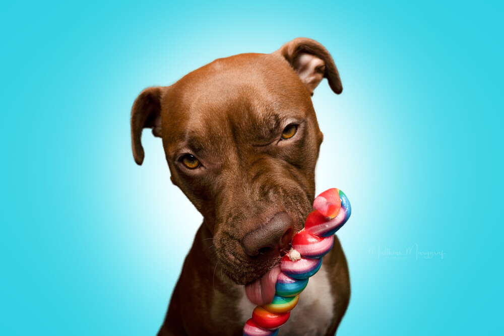 Marggraf-Photography