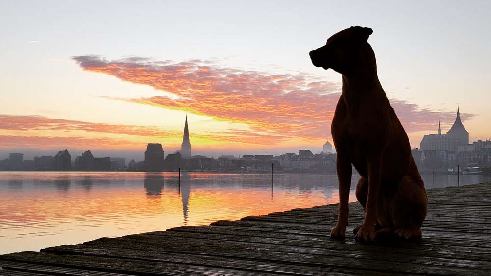 Photodesign Sabrina Marcks (Photodesign Sabrina Marcks)