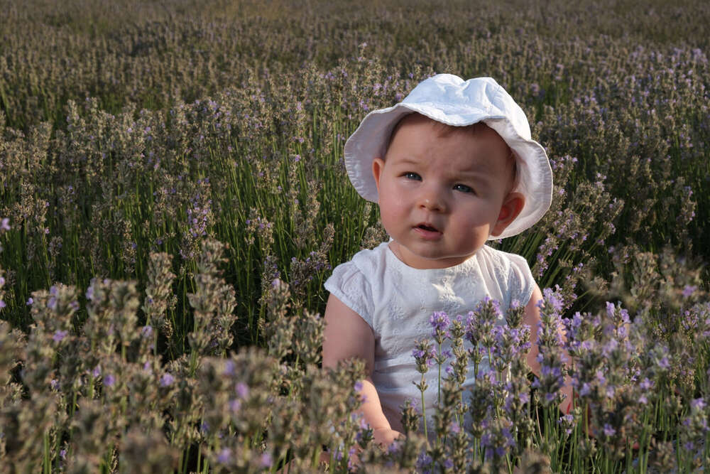 BildKunst (BildKunst)