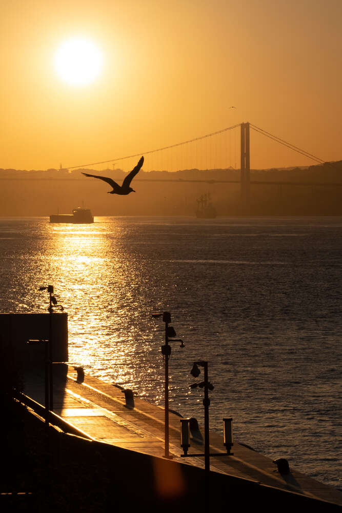 BildKunst (BildKunst)