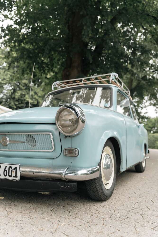 Portät- & Hochzeitsfotografie