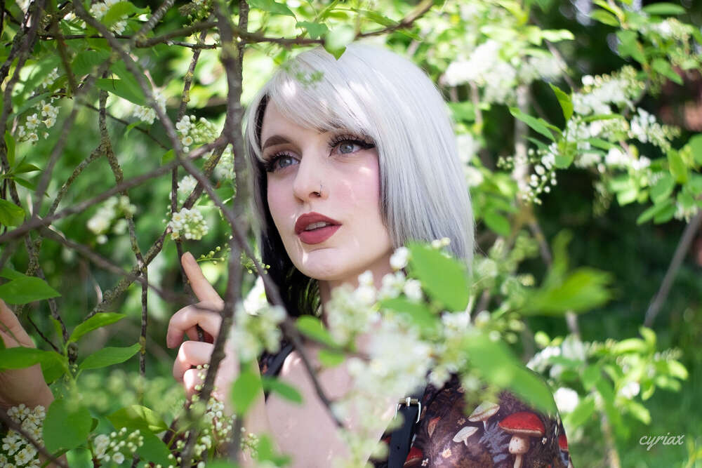 Finn Cyriax (Finn Cyriax)