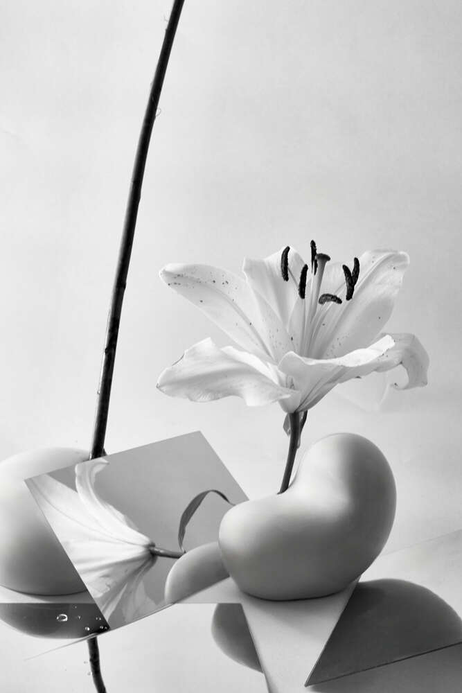 Katharina Jerusalem Fotografie