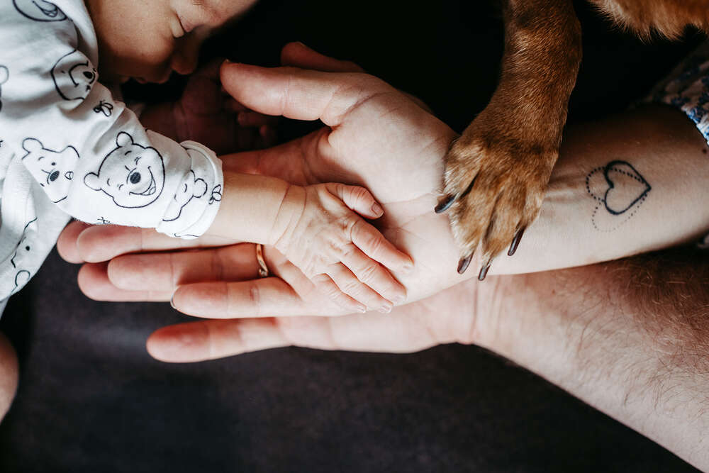 Christin Wetzel Fotografie (Christin Wetzel Fotografie)