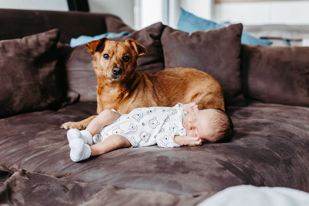 Christin Wetzel Fotografie (Christin Wetzel Fotografie)