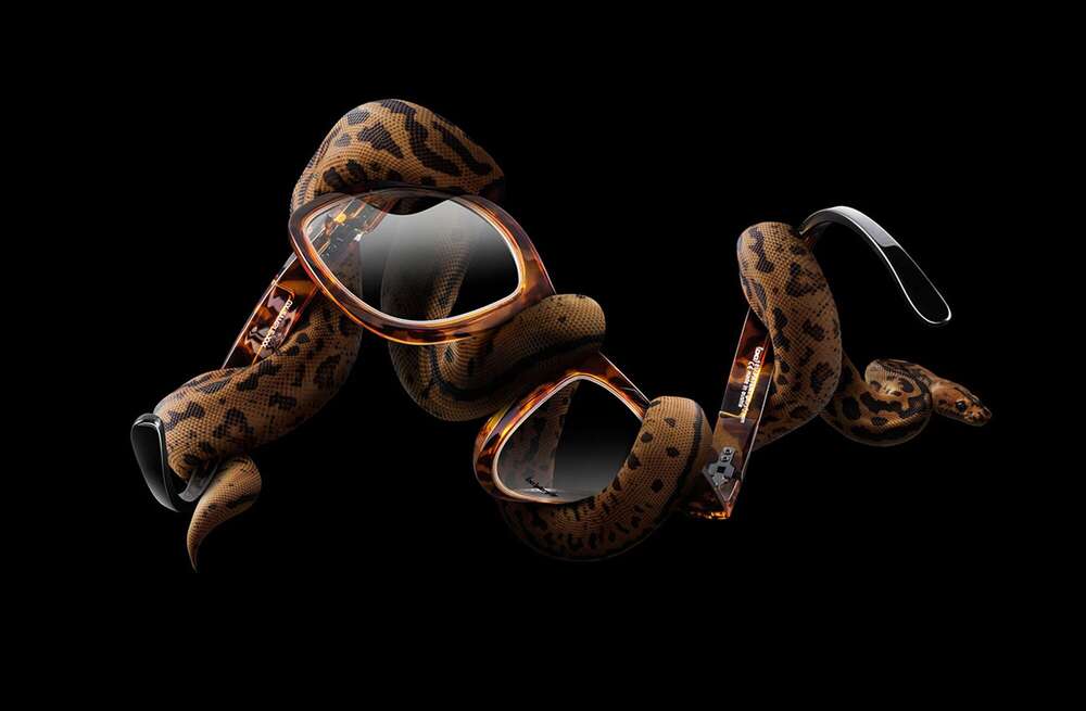 Dominik Hollaus (Dominik Hollaus)