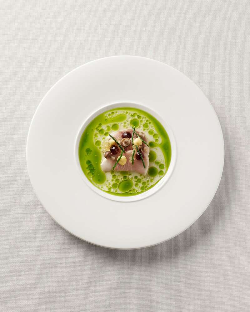 Dominik Hollaus (Dominik Hollaus)