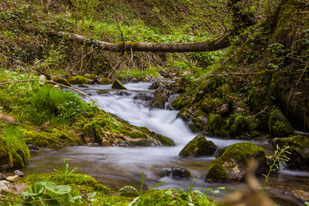 Wengerbachgraben (MV Photo)