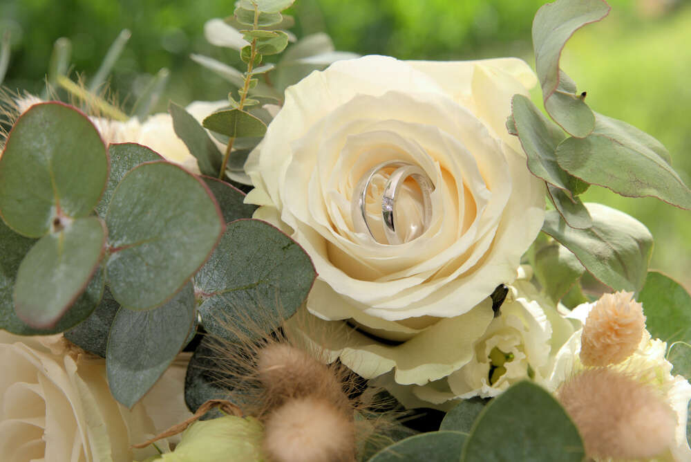 Hochzeitsfotograf Timea Cahenzli Zürich Schweiz (Hochzeitsfotograf Timea Cahenzli)