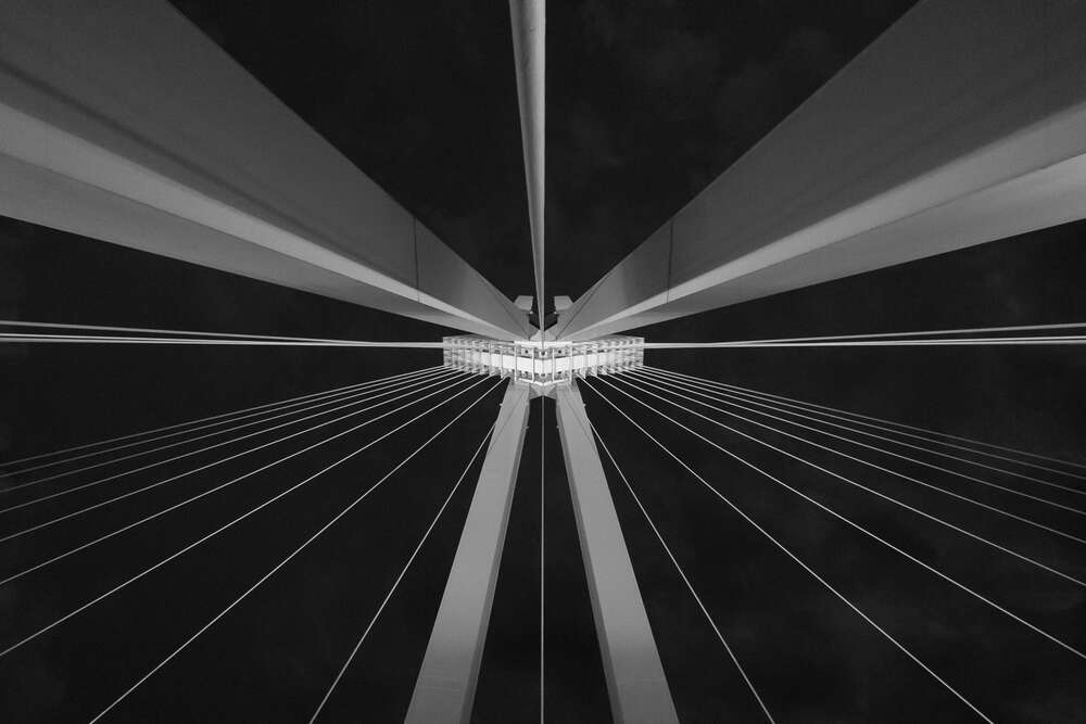 Blick nach oben (Frederic Bauer)