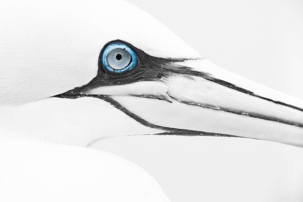 Linien und Strukturen (Frederic Bauer)