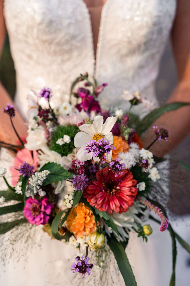 Jan Kriwanek (Jan Kriwanek)