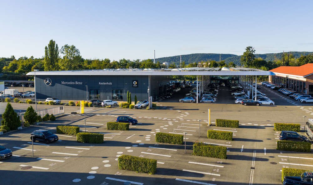 Jan Kriwanek (Jan Kriwanek)