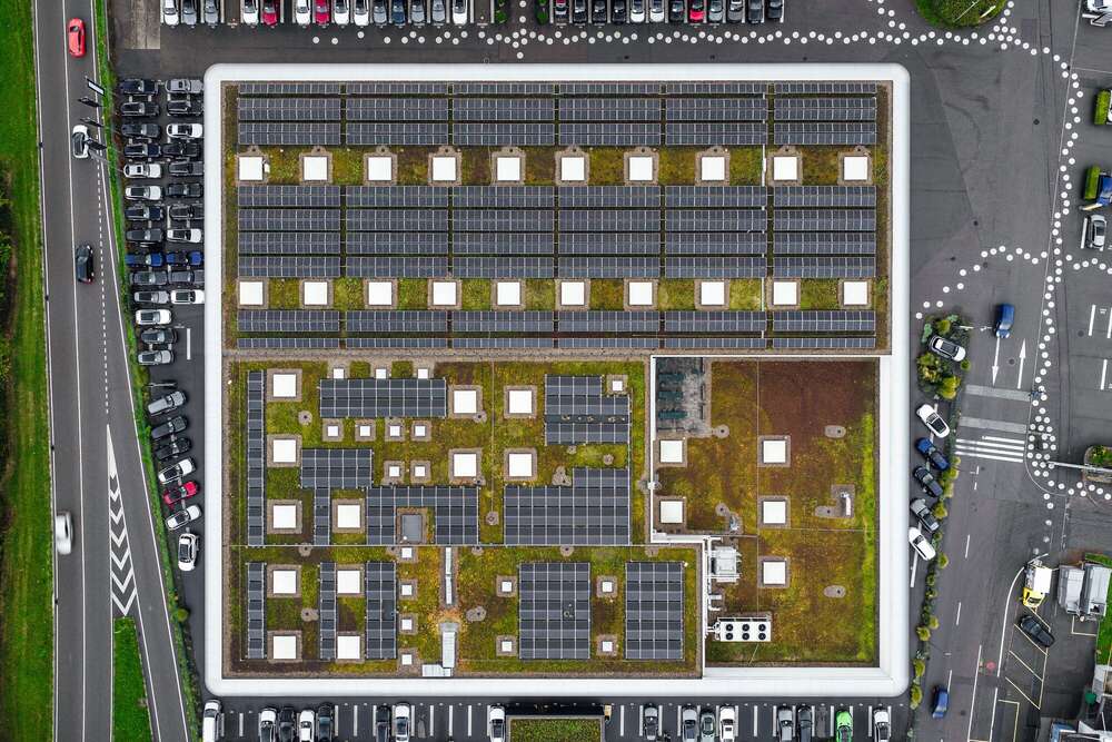 Jan Kriwanek (Jan Kriwanek)