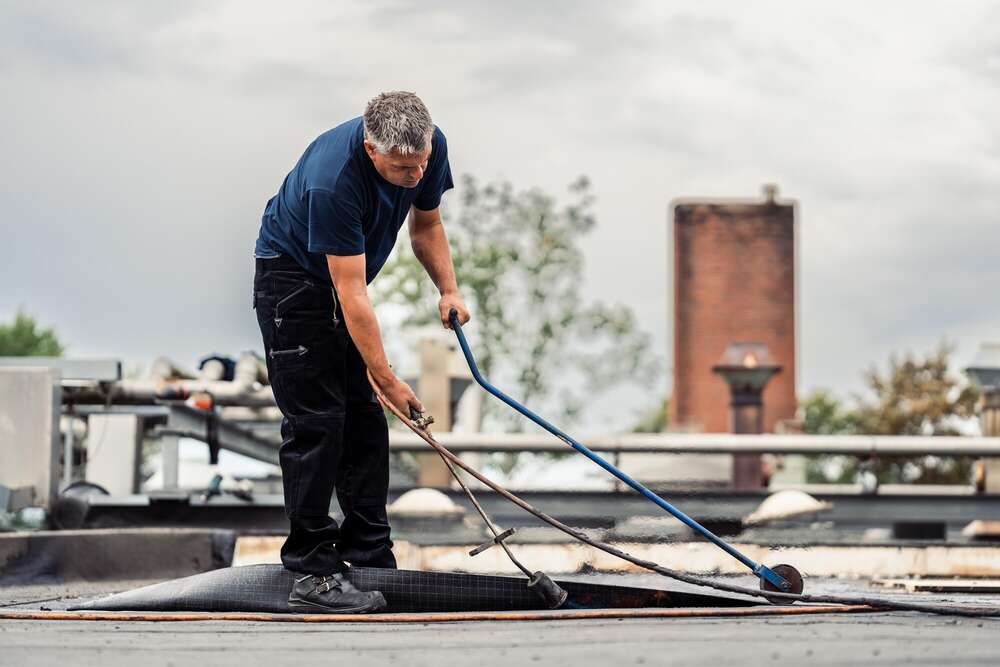 Jan Kriwanek (Jan Kriwanek)