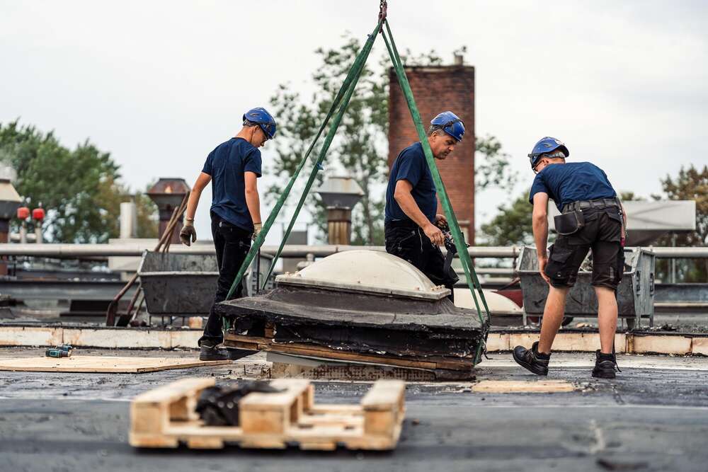 Jan Kriwanek (Jan Kriwanek)